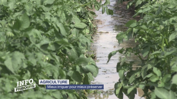 Journal du 8 juin 2026