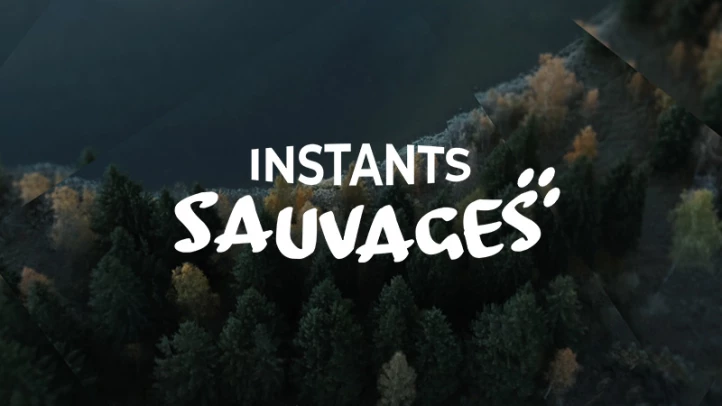Instants sauvages