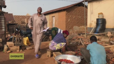 Diversité du 03.11.19