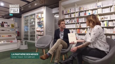 La panthère des neiges