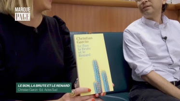 Le bon, la brute et le renard