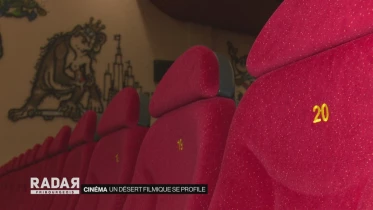 Journal du 28 mai 2020