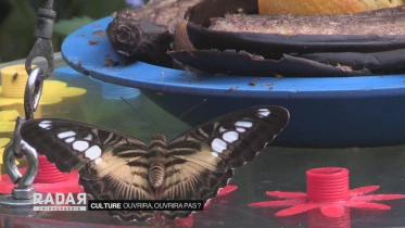 Journal du 14 décembre 2020