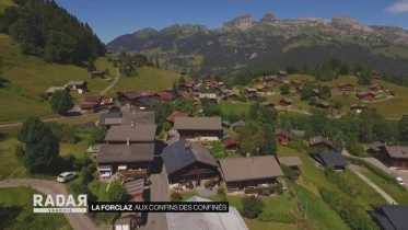 Journal du 24 avril 2020