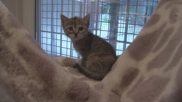 Présenté par Lolita Morena