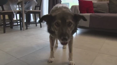 Présenté par Lolita Morena