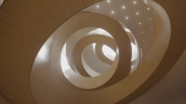 La mise en lumière du bois