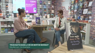 Trois nuits dans la vie de Berthe Morisot