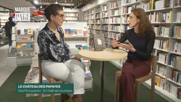 Le château des Papayes