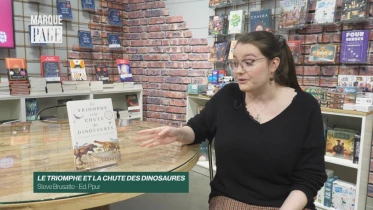 Le triomphe et la chute des dinosaures