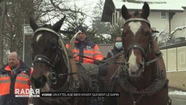 Journal du 4 janvier 2021