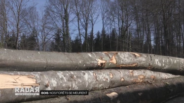 Journal du 29 mars 2021