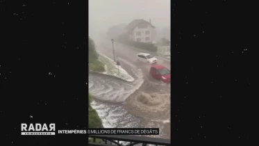 Journal du 22 juin 2021