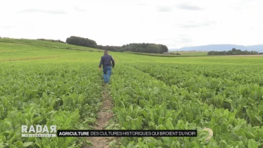 Journal du 3 août 2021