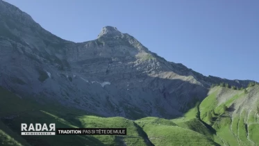 Journal du 5 août 2021