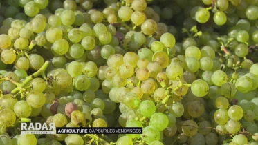 Journal du 13 octobre 2021