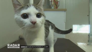 Journal du 21 octobre 2021