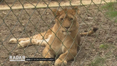 Journal du 23 février 2021
