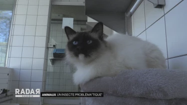 Journal du 12 avril 2021