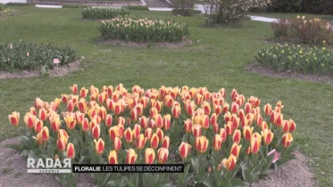 Journal du 13 avril 2021