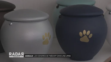 Journal du 18 mai 2021