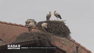 Journal du 8 juin 2021