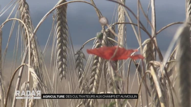 Journal du 22 juillet 2021