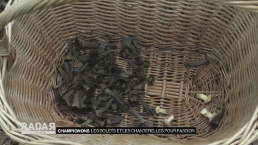 Journal du 4 août 2021