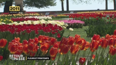 Les fleurs et le printemps