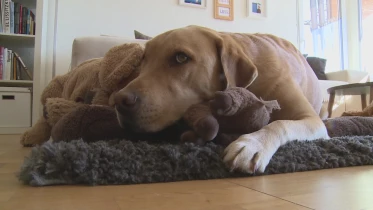 Présenté par Lolita Morena