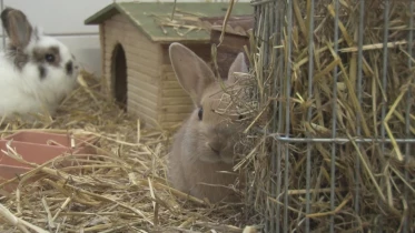 Présenté par Lolita Morena