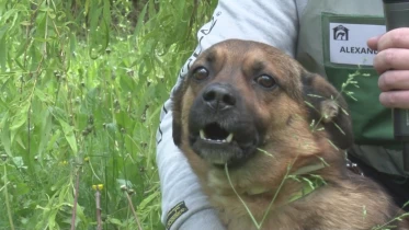 Présenté par Lolita Morena