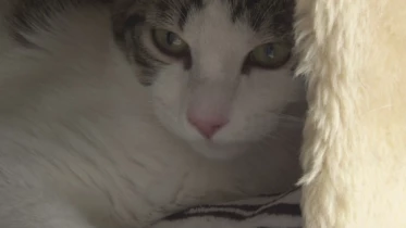 Présenté par Lolita Morena