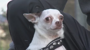 Présenté par Lolita Morena