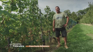 Cave Xavier Bühlmann