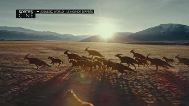 Les sorties ciné du 8 juin 2022