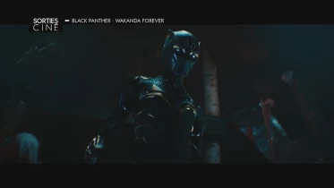 Les sorties ciné des 9 et 16 novembre 2022