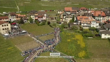 Les meilleurs moments