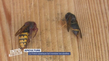 Journal du 23 septembre 2022