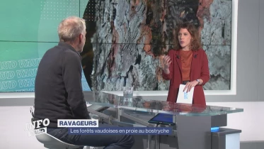 Journal du 2 novembre 2022