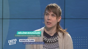 Journal du 13 décembre 2022