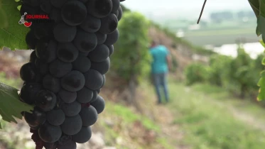 Journal du 11 septembre 2022