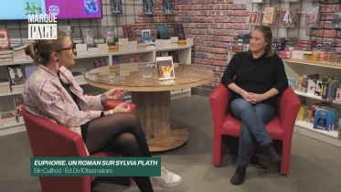 Euphorie. Un roman sur Sylvia Plath