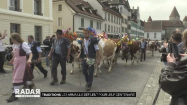 Journal du 8 mai 2022