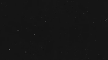 Journal du 29 mai 2022