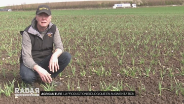 Journal du 6 avril 2022