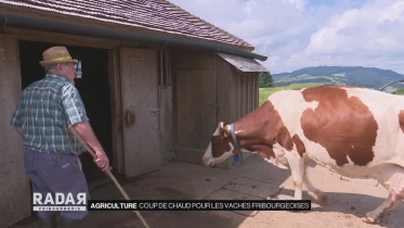 Journal du 26 juillet 2022