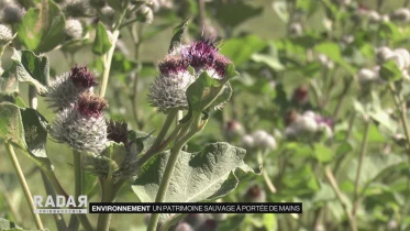 Journal du 11 août 2022