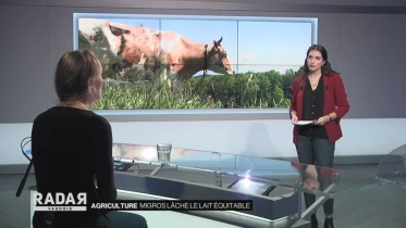 Journal du 17 février 2022