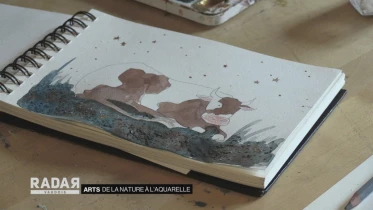 Journal du 23 mai 2022